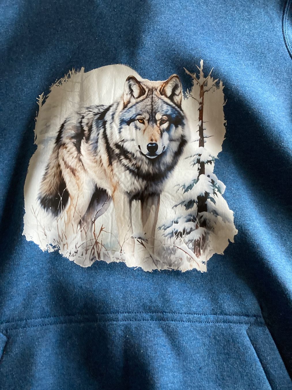 Pullover & Sweatshirts: Pullover Kapuzenpullover Hoodie – Neu und originalverpackt aus Aarwangen von to-hirschi 1
