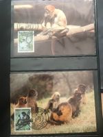 Honduras 1990 WWF Satz Geoffroy-Klammeraffe Maximumkarten