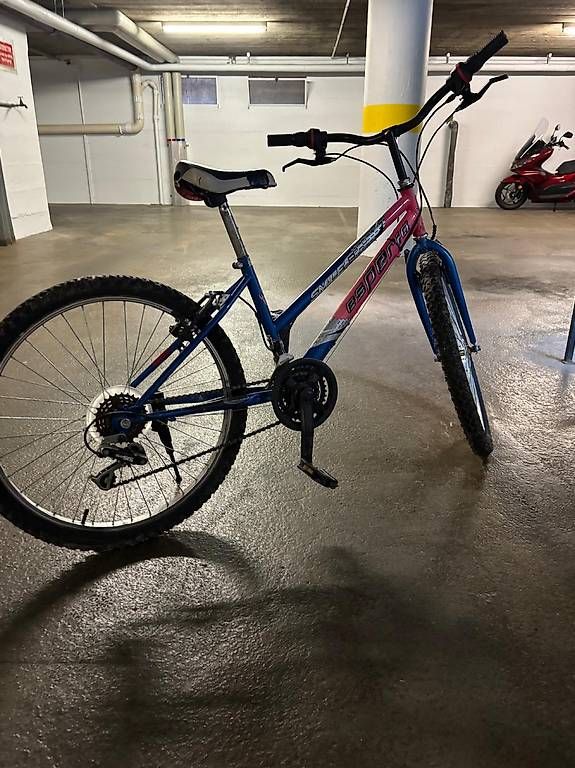 Biciclette: Vélo pour enfant – Usato da Martigny venduto da luis4 1