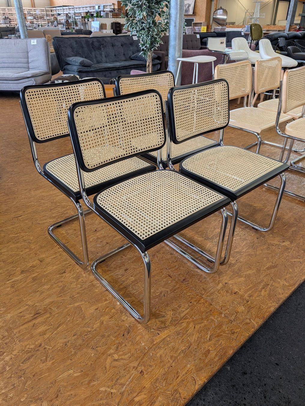 Sedie: NEU Retro Freischwinger mit Wiener Geflecht – Nuovo e nell'imballaggio originale da Grabs venduto da Moebelsparadies 1
