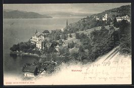 Walchwil, Ortsansicht aus der Vogelschau