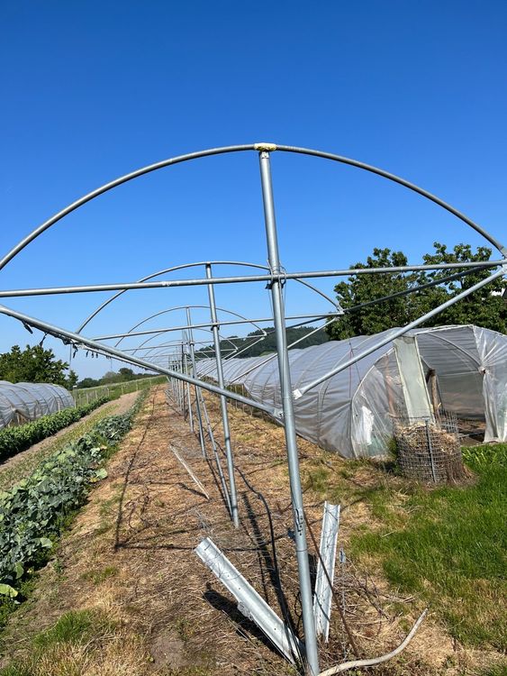 Regendach Himbeeren (Gebraucht) in Utzigen für CHF 950 – nur Abholung ...