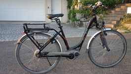 Flyer Nuvinci E-Bike Elektrovelo ebike Tiefeinsteiger Defekt