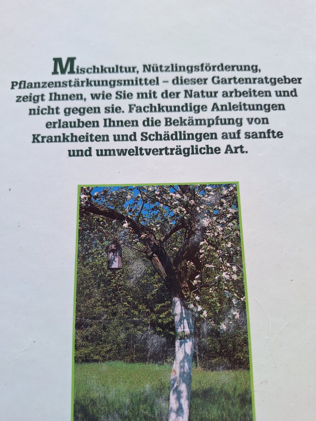 Libri: SAISON ! 2 STK GARTENBÜCHER – Usato da Huttwil venduto da Kunterbuntli 3