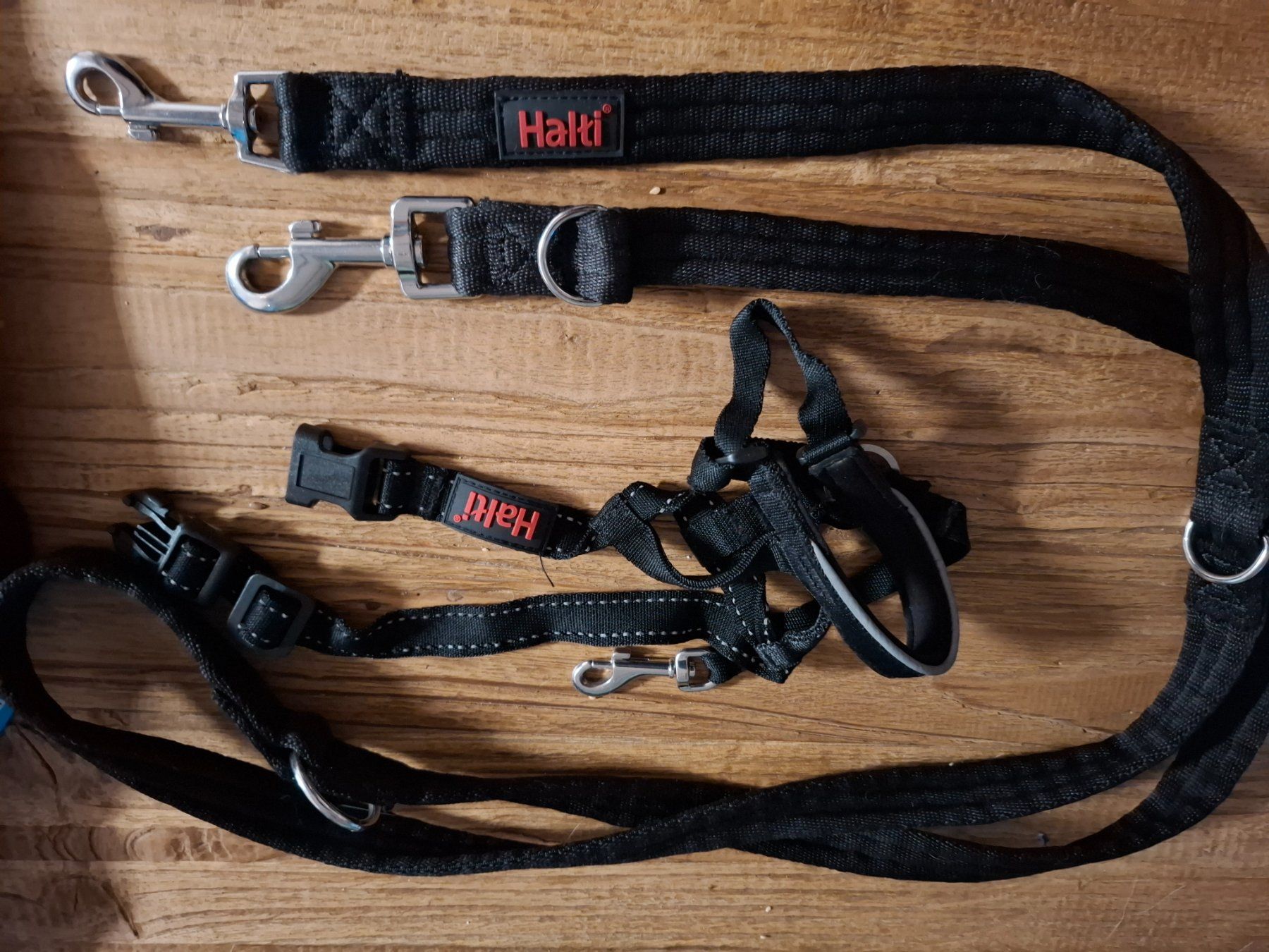 Leine & Halsband: Leine mit Halti – Gebraucht aus Holderbank SO von argokim
