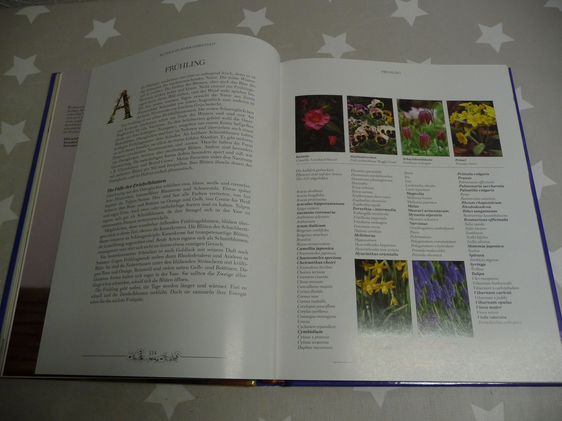 Libri: Buch: Blumen Arrangements Malcom Hillier – Usato da Rafz venduto da Powacaddy 7