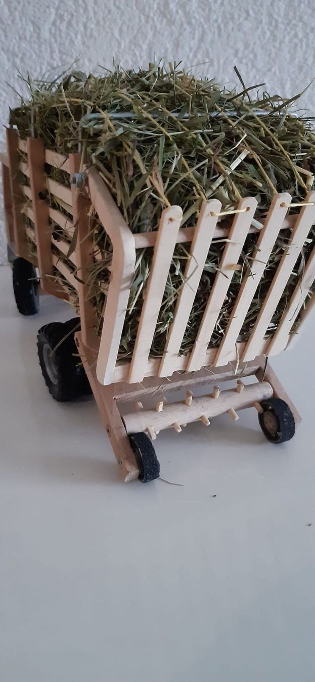 Reform Trattori: Reform, Wechselsystem, Transporter m. Heuladung – Nuovo e nell'imballaggio originale da Rotkreuz venduto da Holzarbeit 2
