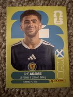 SCO 19