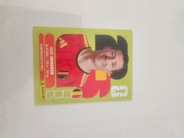 BEL 14