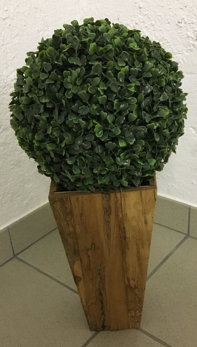 Piante & sementi: Holz Topf mit Buchs Kugel ... – Nuovo (secondo la descrizione) da Chur venduto da Jacki09