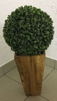 Holz Topf mit Buchs Kugel ...