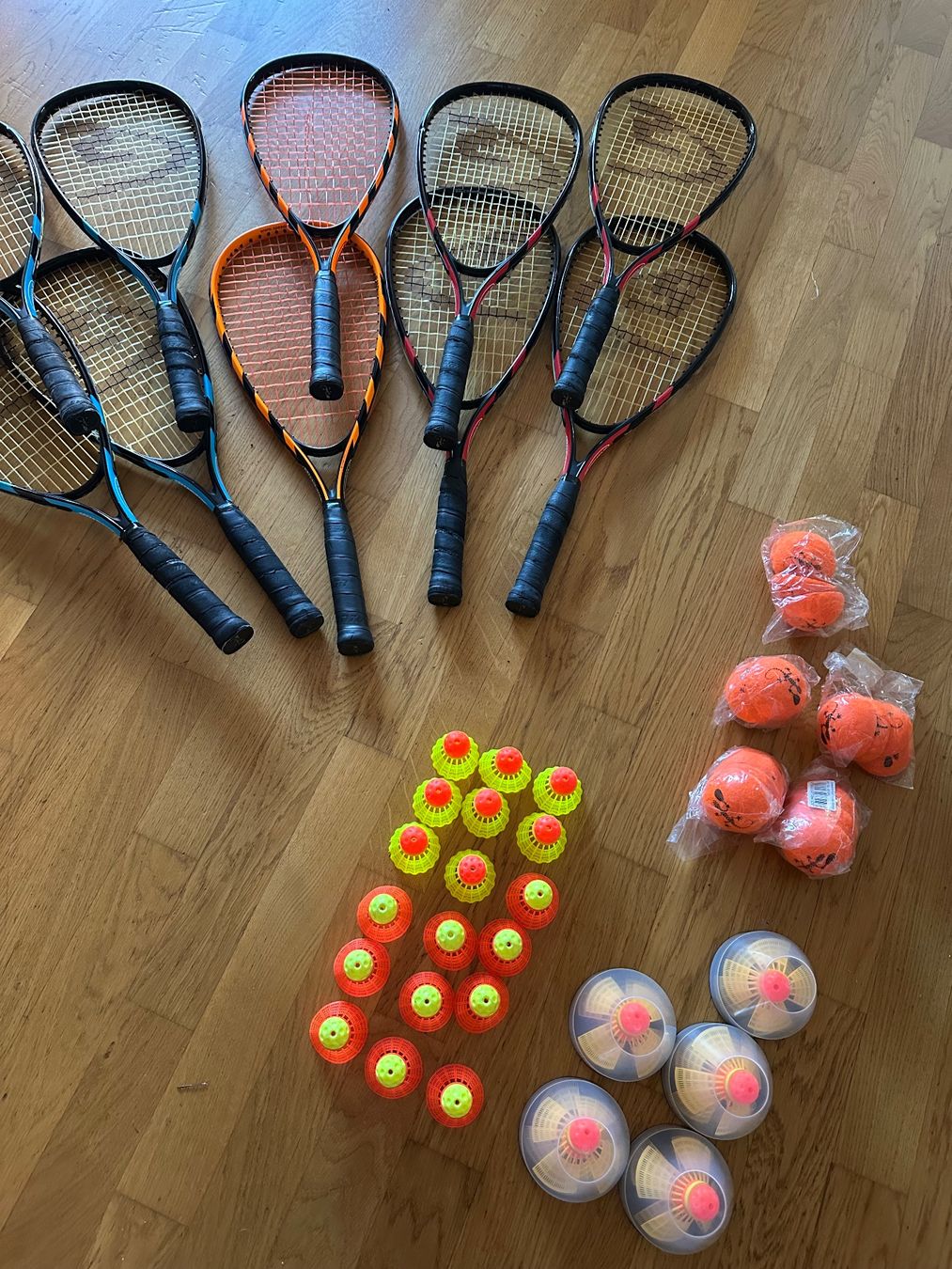 Speedminton Racchette: Speedminton Set mit Tragtasche – Usato da Langendorf venduto da leonardoobas 2