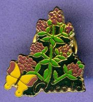 Ricola   Thymus