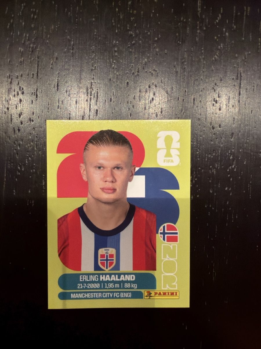 Panini Carte collezionabili: Panini Haaland – Nuovo (secondo la descrizione) da St. Moritz venduto da Matt18ia