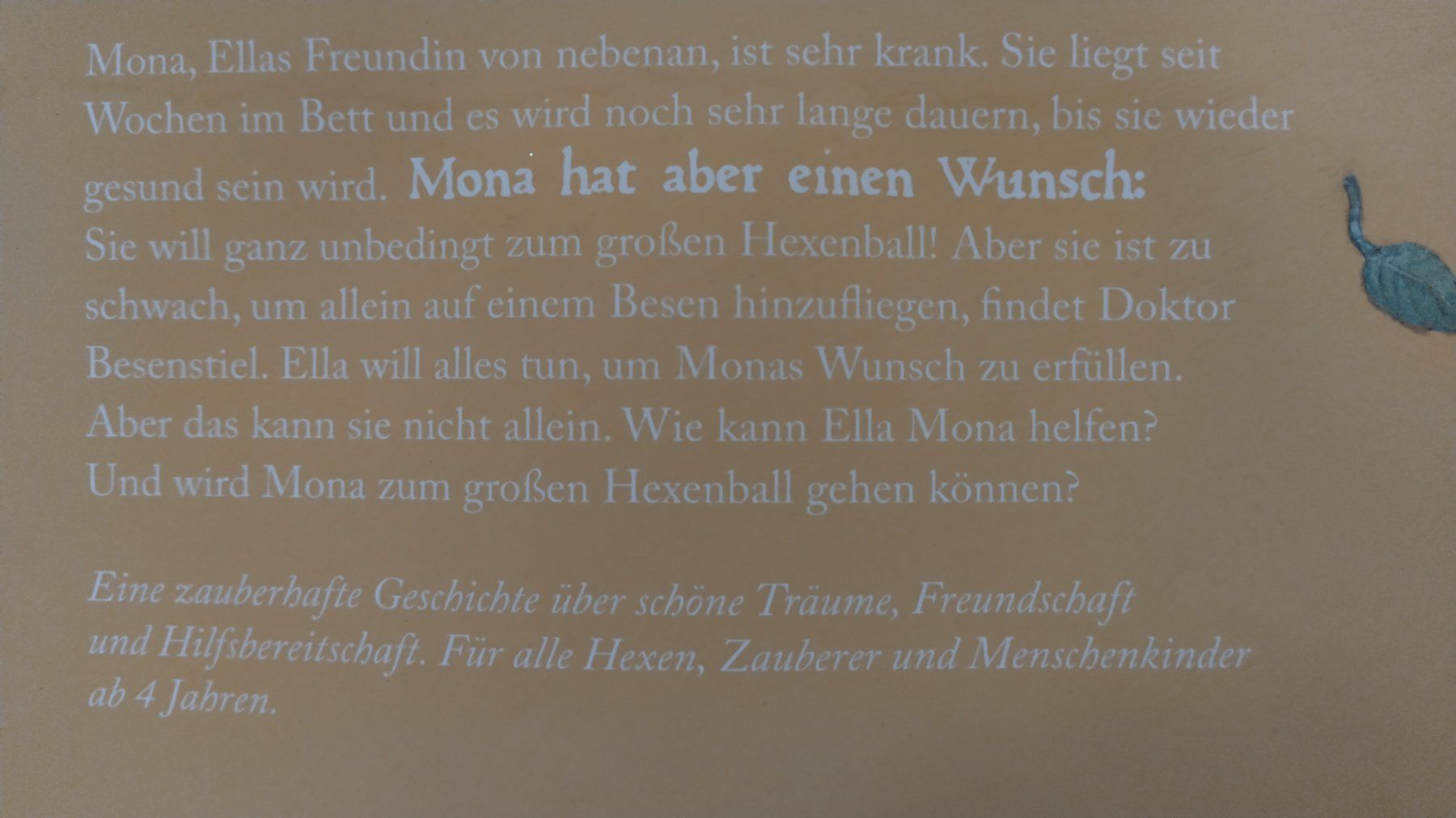 Libri: Hexenwunsch / Hexen Bilderbuch Softcover ab Fr. 4.- – Usato da Bellach venduto da JingleJerry 7