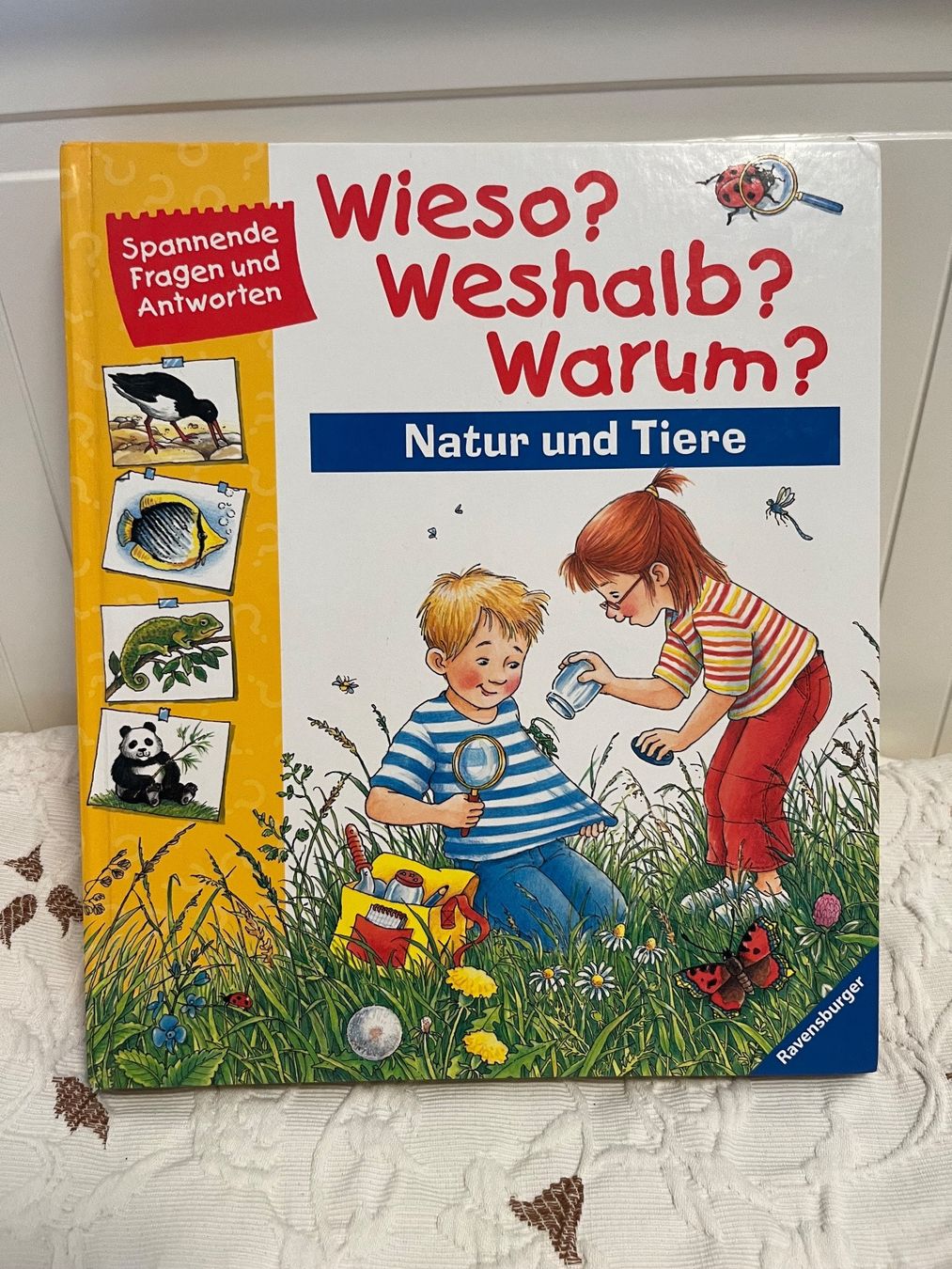 Libri: Buch Wieso? Weshalb? Warum? – Usato da Basel venduto da Galia2000