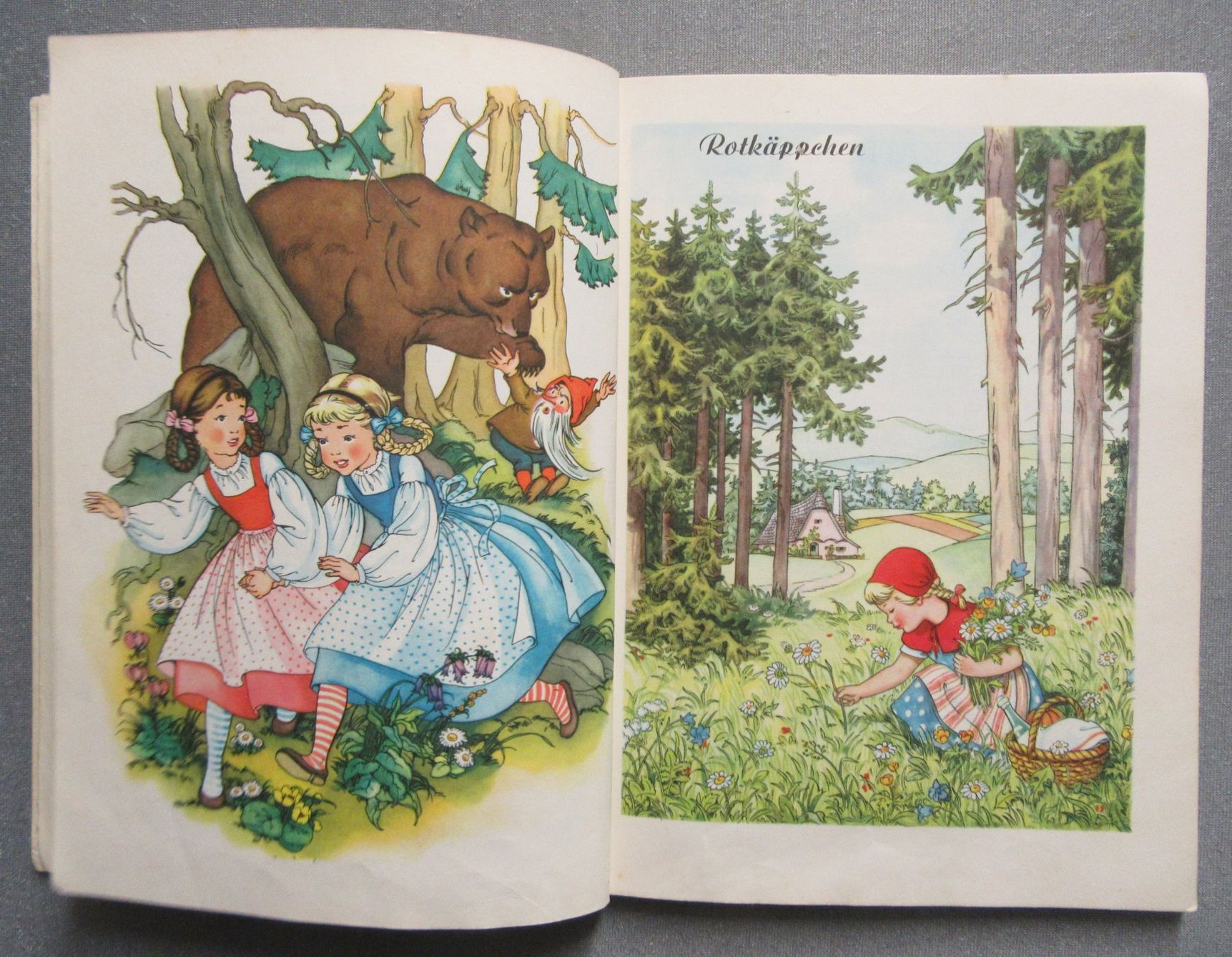 Libri: 12 der schönsten Grimms Märchen  - schön illustriert – Usato da Auenstein venduto da Padabimbim 2