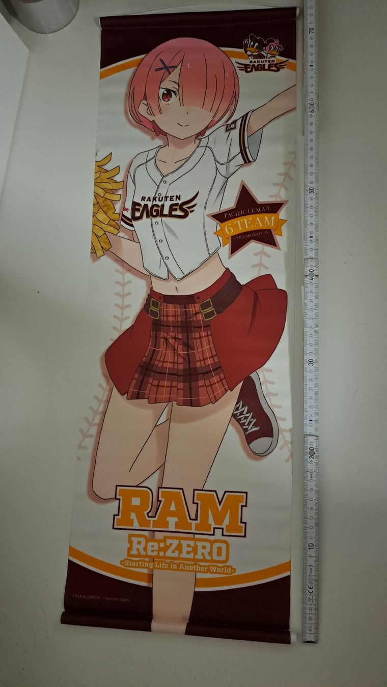 Dipinti: Ram Re:Zero Anime Banner – Usato da Waltenschwil venduto da Catlady