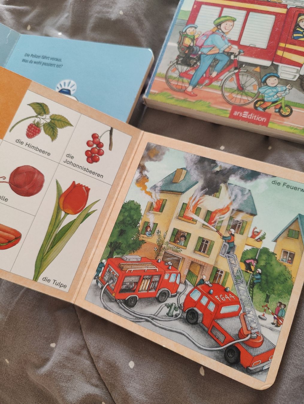 Livres: Kinderbücher 12+ Monate – D'occasion à Zürich par sof_f2ts 3