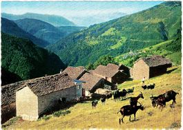INDEMINI (980 m) I- Il Ticino pitoocesco ca. 1960 (TI)