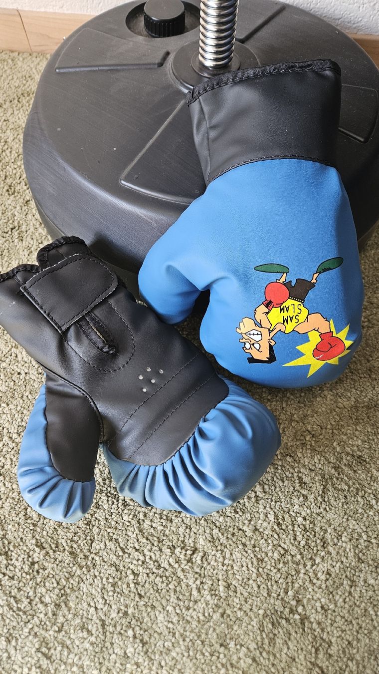 Boxsäcke: Boxsack mit Boxhandschuhe – Gebraucht aus Fulenbach von Sarah79 1