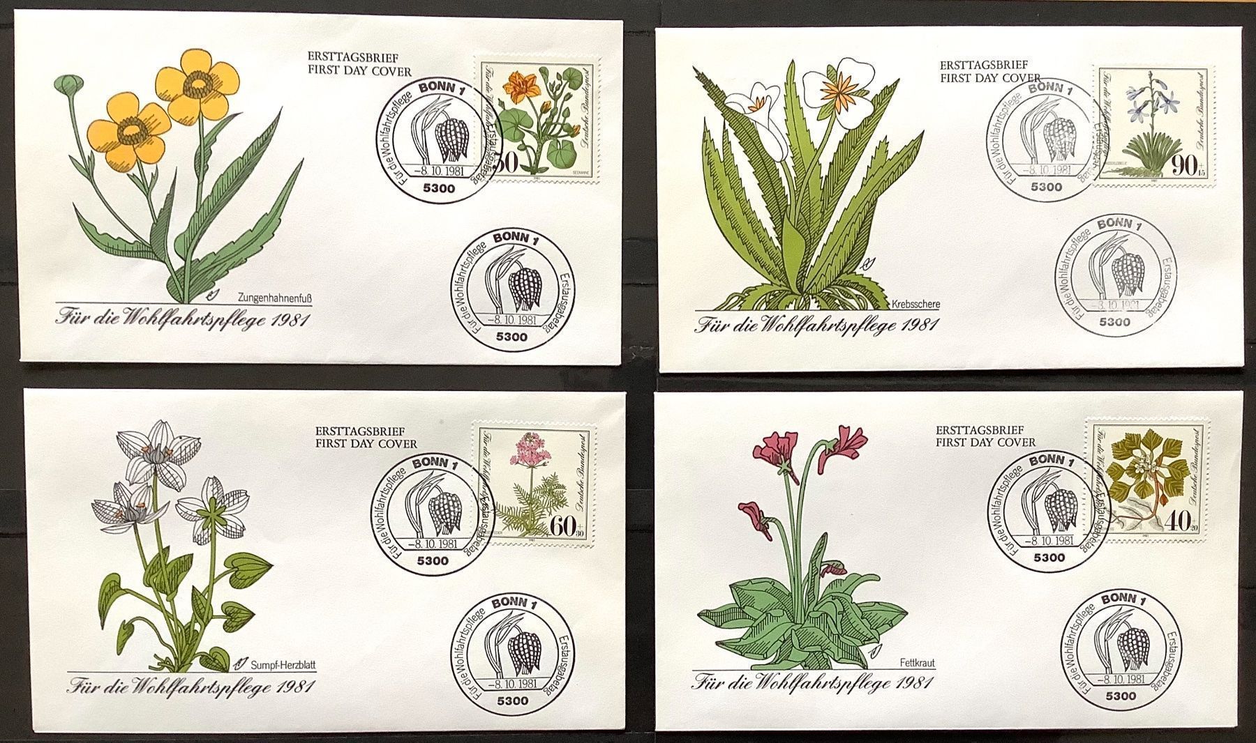 Tutti i francobolli: 1981 FDC Deutschland Bonn  Satz Blumen – Nuovo (secondo la descrizione) da Liestal venduto da Pep3