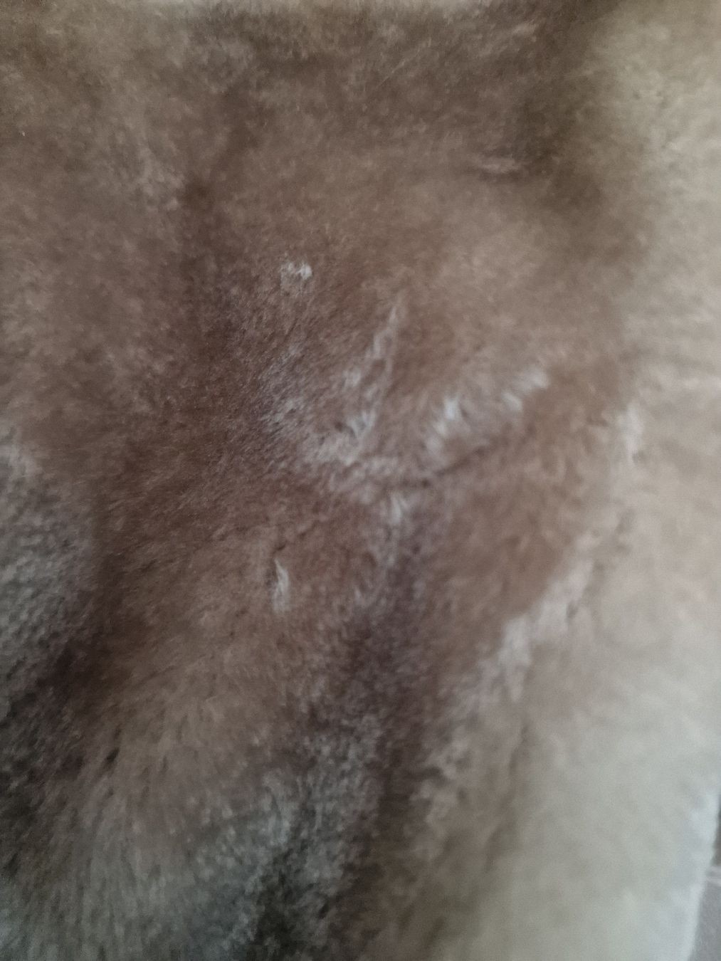 Jacken: Winterjacke beige wunderschön und warmL – Neu (gemäss Beschreibung) aus Ottenbach von Claurin 5