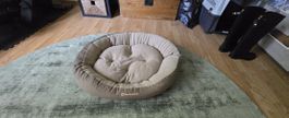 Hundebett von Dr. Bark 80x60cm