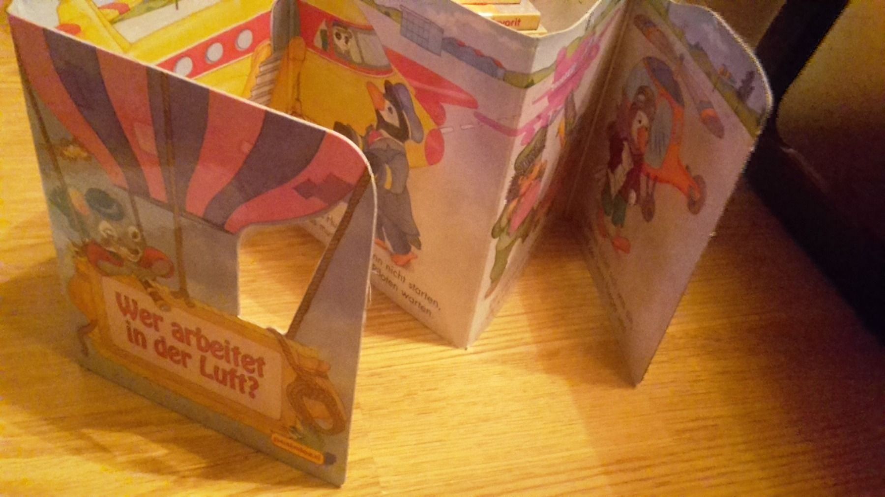 Libri: 4 Leporello Wer arbeitet ? 4 Themen – Nuovo (secondo la descrizione) da Schwarzenburg venduto da Flamingo07 2