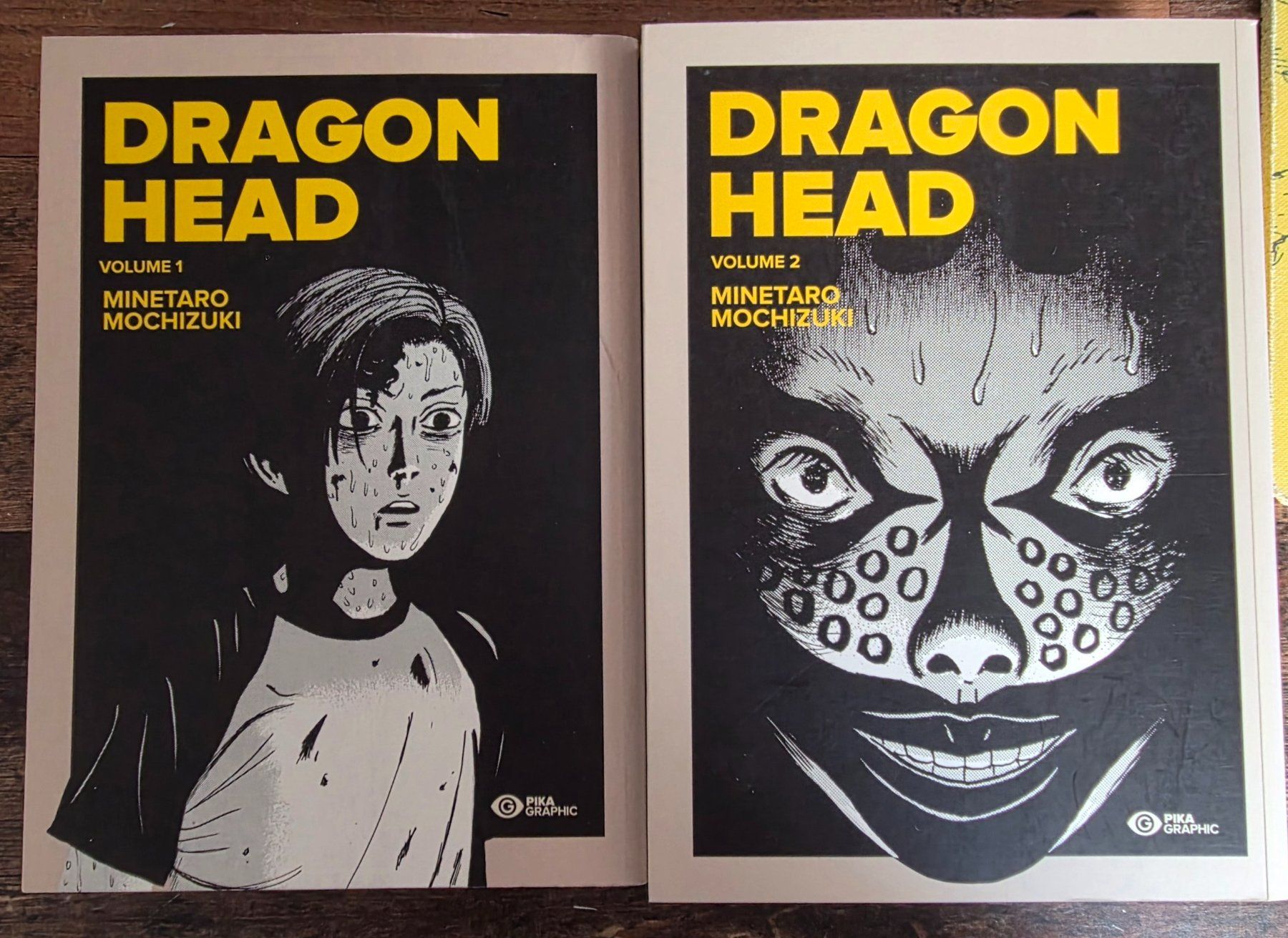 Fumetti: DRAGON HEAD INTÉGRALE – Usato da Renens VD venduto da 2_dee