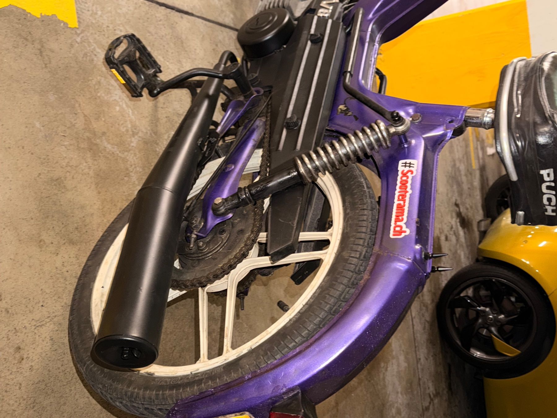 Puch Ciclomotori: Puch maxi super LG 1 – Usato da Greifensee venduto da Froschkoenig09 4