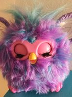 Hilfe!! Furby sucht dringendst neues Zuhause!!