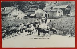 Alte Ansichtskarte: Kühe, Départ pour la montagne