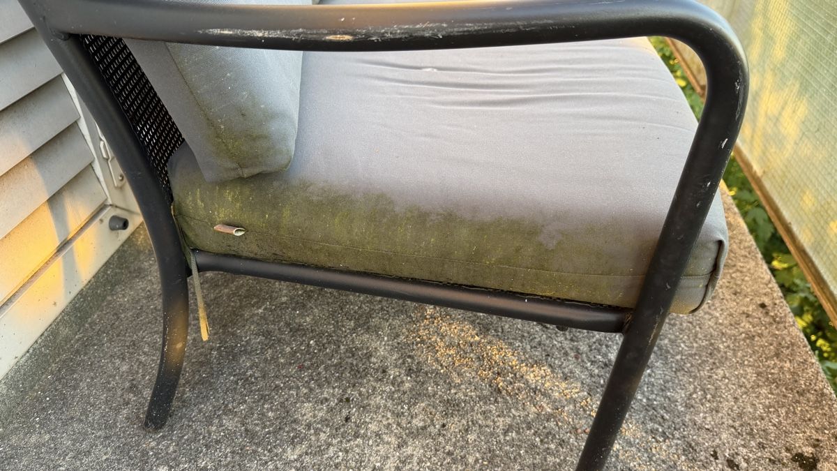 Panchine: Garden Bench Metal Frame Cushions Used Condition – Usato da Zürich venduto da ele_wlb9 4