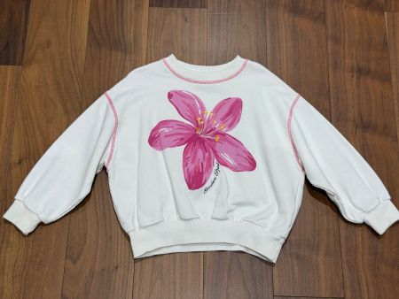 Sweatshirt von Zara Gr 122cm