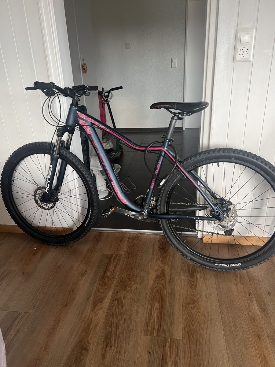 Velos: Bon velo – Gebraucht aus Biel/Bienne von zah_n57l 5