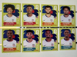 Panini WM 2026 USA