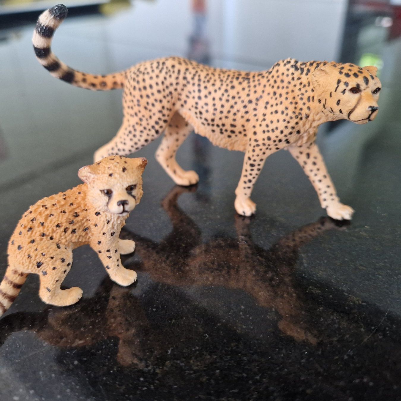 Schleich Statuette: Schleich Gepard, neuwertig – Usato da Gränichen venduto da sunchi07 2