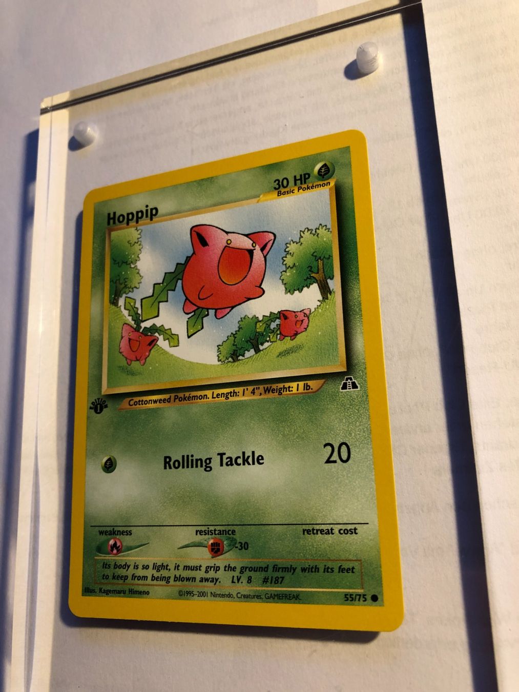 Sammelbilder & Trading cards: Hoppip 1st Neo Discovery - MINT - ab 1.- – Gebraucht aus Giubiasco von dan_pr8b 2