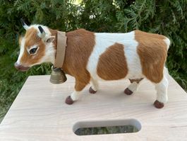 schöne grosse Fellkuh