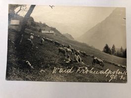 Waid Frohnalpstock  GL 30  Fotokarte