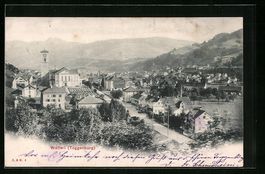 Wattwil /Toggenburg, Ort mit Kirche aus 
