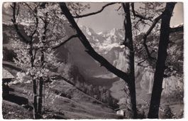 Wengen Lauterbrunnental N° 2634