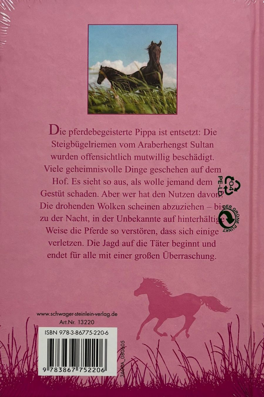 Libri: Berrisford Judith, Pferdefeinde am Werk – Nuovo e nell'imballaggio originale da Sarnen venduto da Livres 1