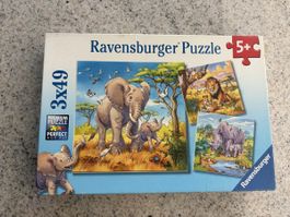 Ravensburger Puzzle 3x49 Tiere Afrika 5+ guter Zustand