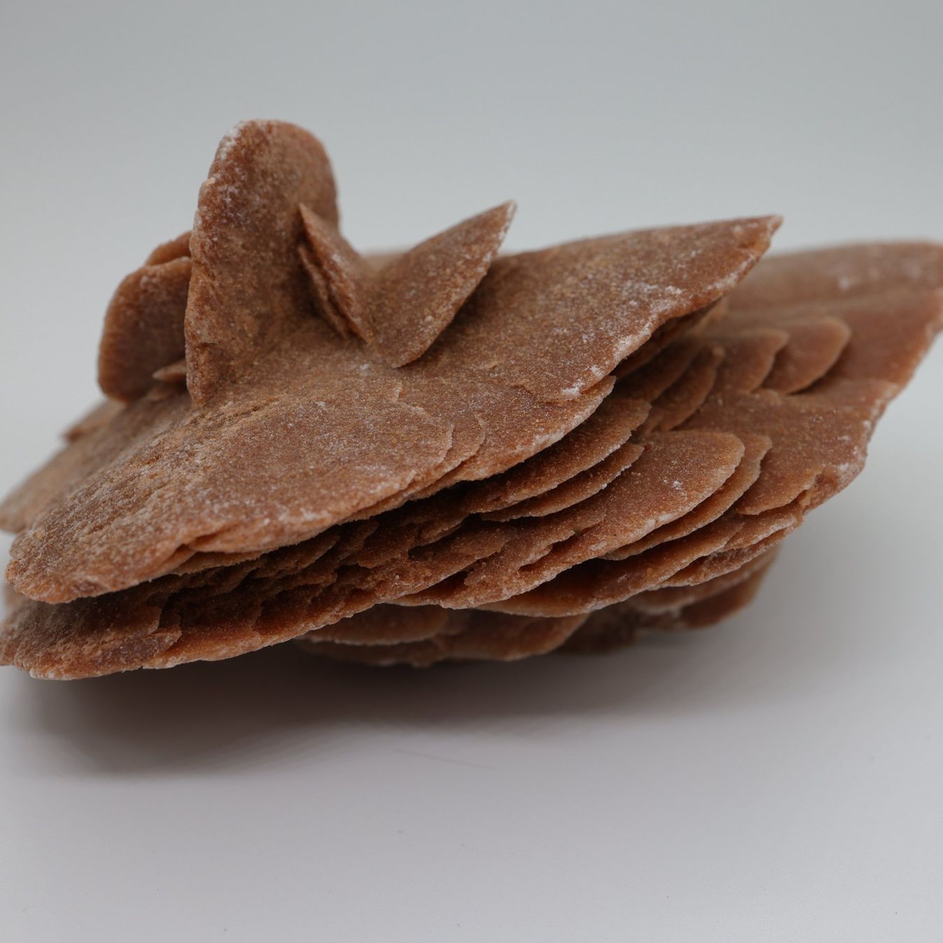 Minerali & Pietre curative: Wüstenrose - Steine – Usato da Volketswil venduto da brockipfannenstil 1