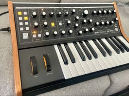 Moog Subsequent 25 - Analog Synthesizer - Top Zustand
