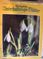 Ringiers Unterhaltungsblätter Nr. 10