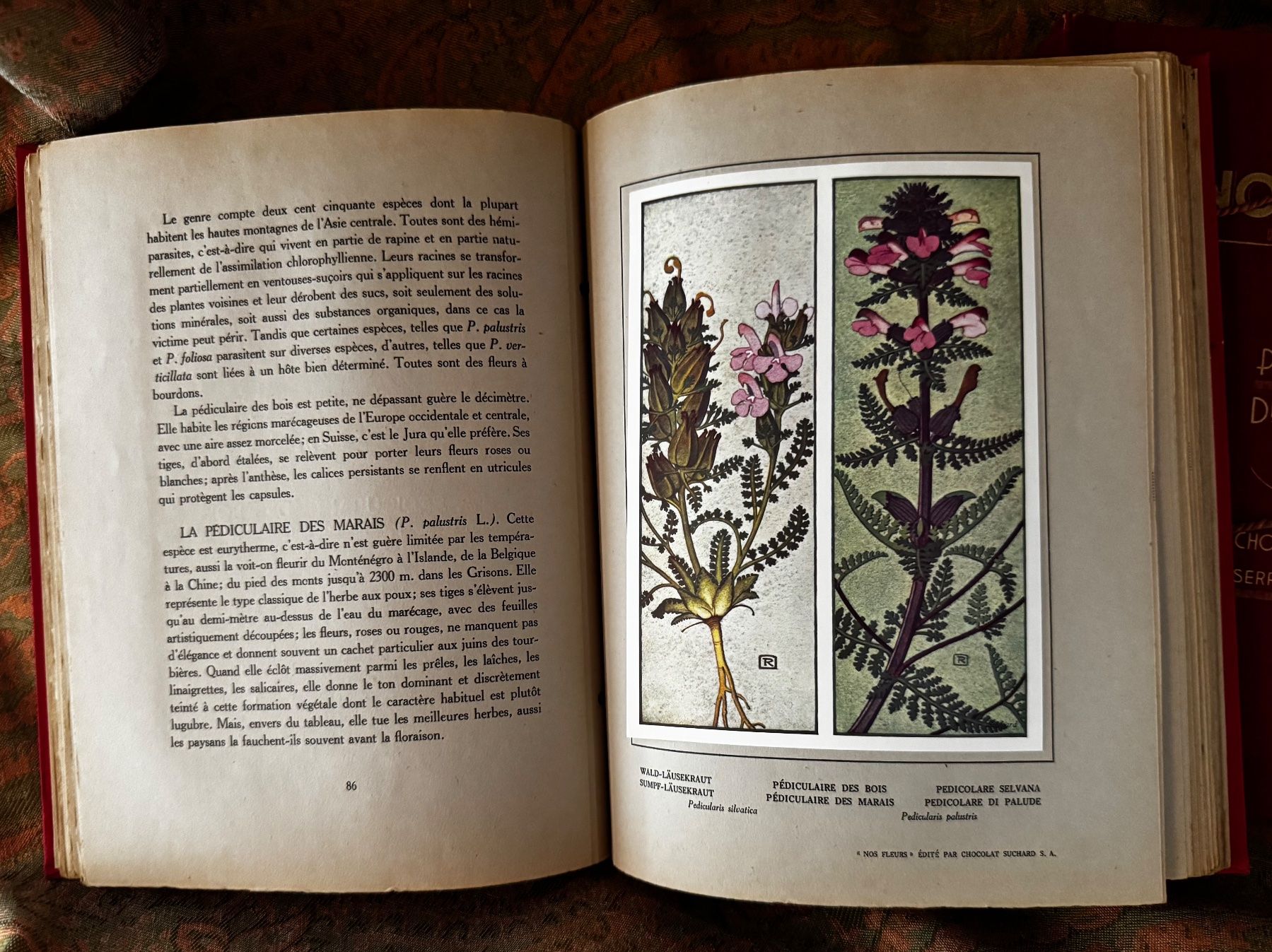 Libri: Nos Fleurs 1 et 2 Chocolat Suchard Philippe Robert 1913 – Usato da Ovronnaz venduto da Etagne68 1