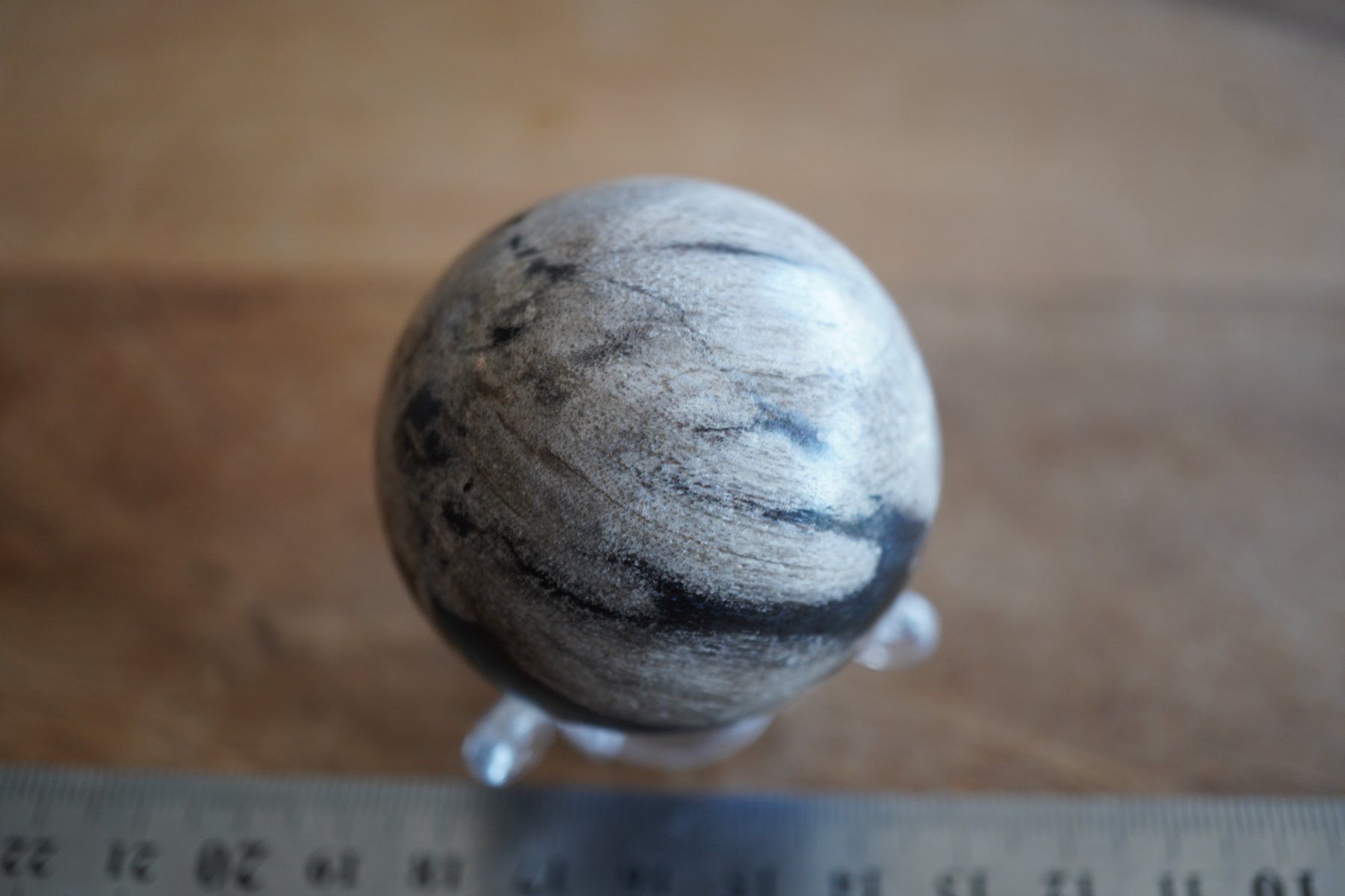 Minerali & Pietre curative: Versteinertes Holz Kugel  48mm – Nuovo e nell'imballaggio originale da Eschenbach SG venduto da topstone 4